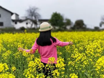 难忘快乐的春游作文（美丽的景色）