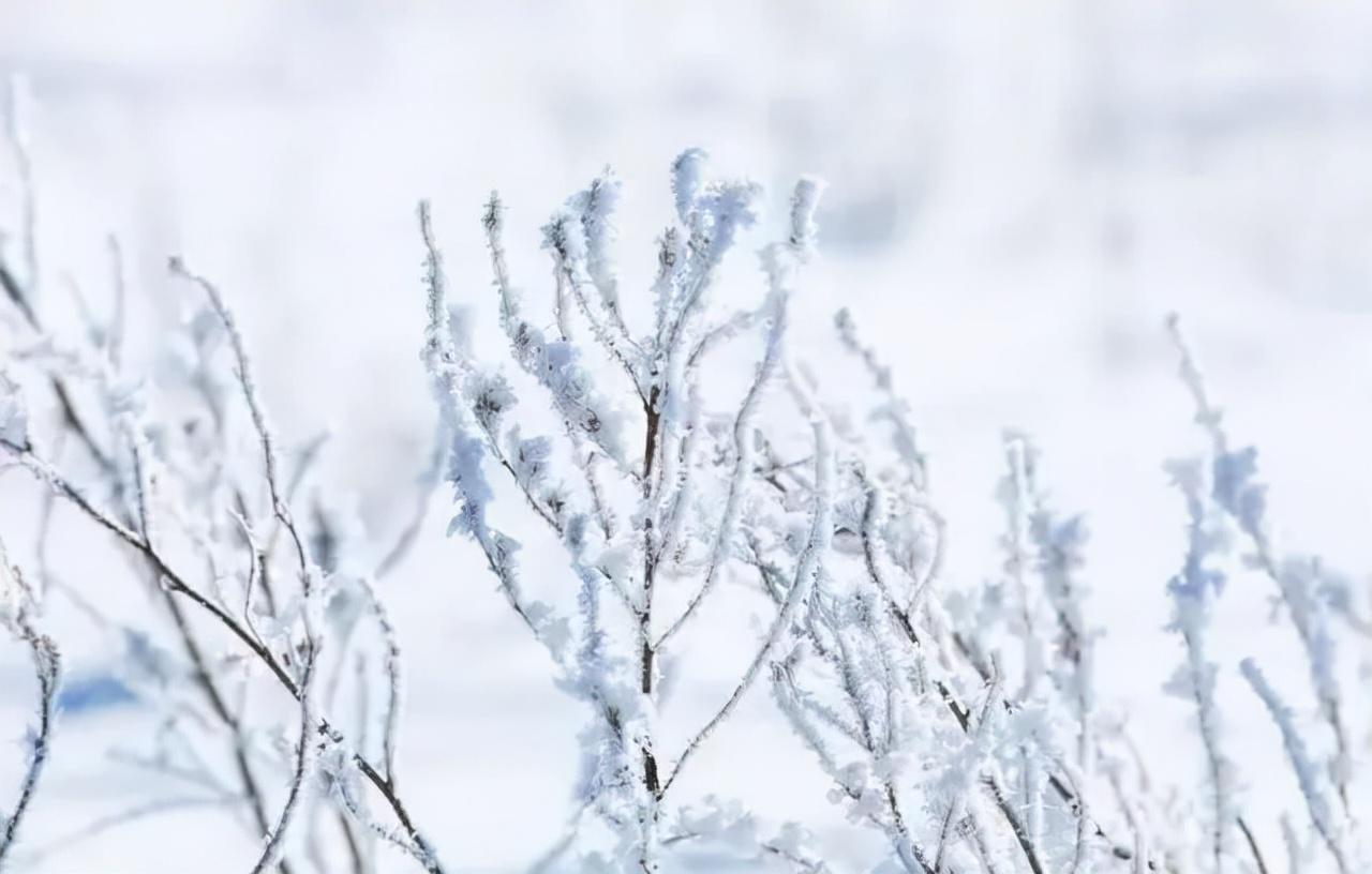 描写雪景的诗句古诗赏析（精选10首冬雪诗词）