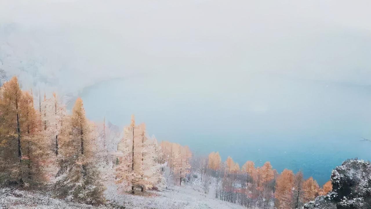 描写雪景的诗句古诗赏析（精选10首冬雪诗词）