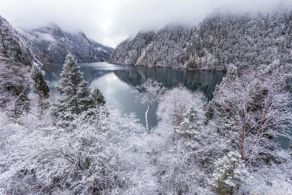 关于雪的诗句赏析（含有雪的古诗词）