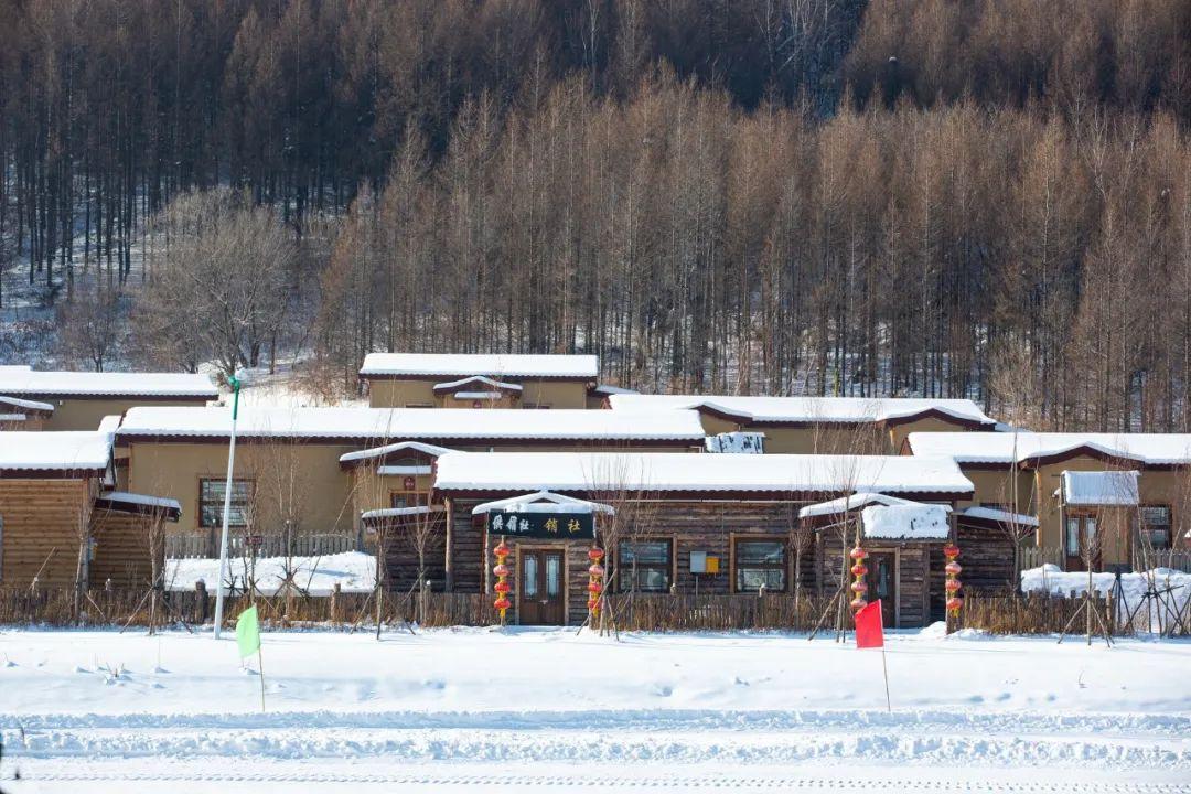 著名的雪景诗句鉴赏（精选10首大雪诗词）