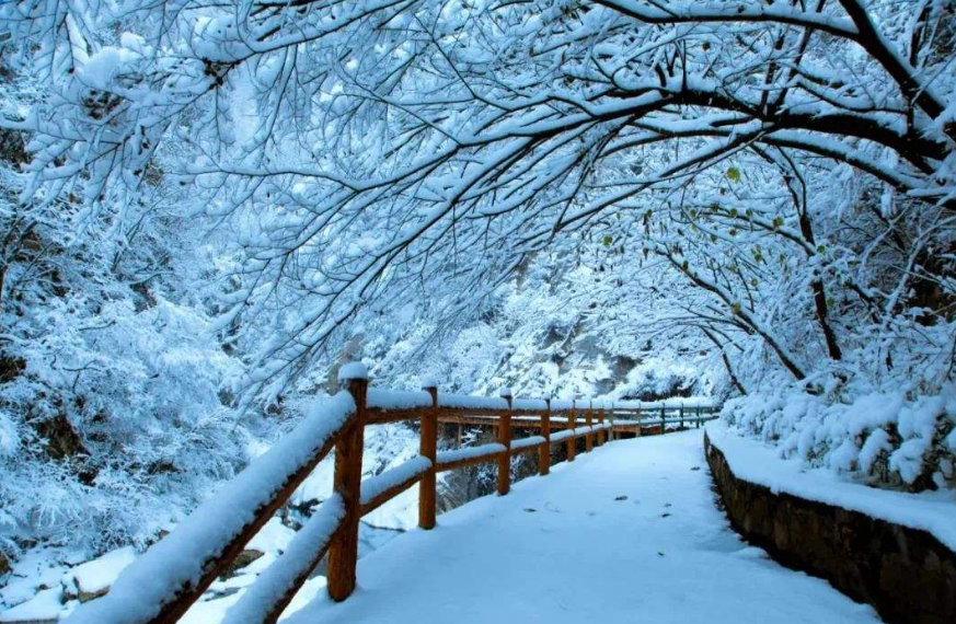 有关含有雪的古诗词赏析（十二首雪景的诗词）