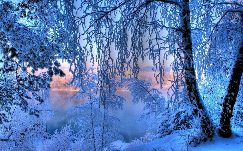 有关含有雪的古诗词赏析（十二首雪景的诗词）