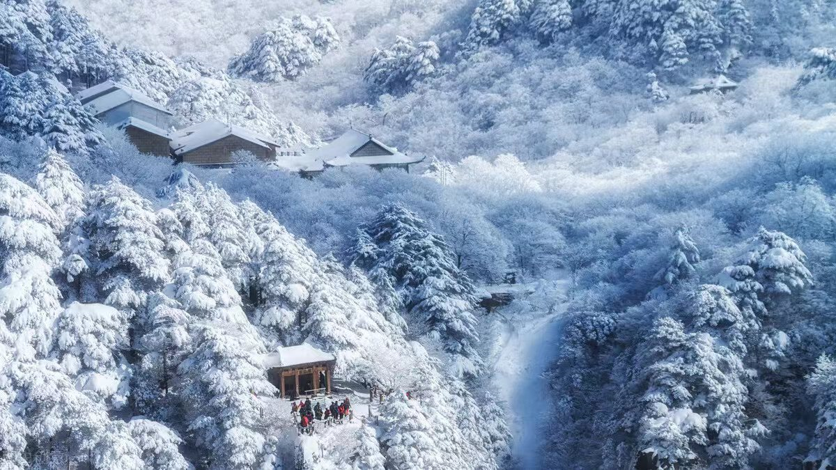 赞美春雪景艺术的诗词（雪景艺术的诗词名句）