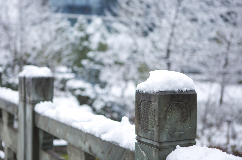 有关雪中的诗词（赞美春雪景艺术的诗词）