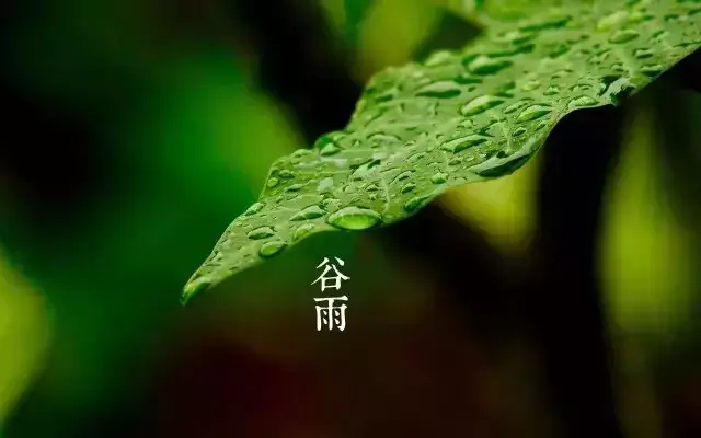 二十四节气谷雨诗句赏析（唯美8首谷雨诗词）