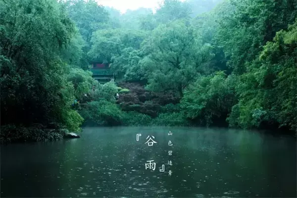 二十四节气谷雨诗句赏析（唯美8首谷雨诗词）