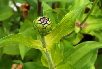 温和陪伴的话题优秀作文（《最美好的陪伴》）