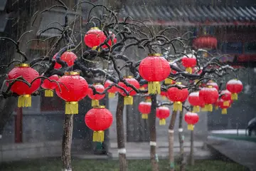北京的春节作文（《别样的春节》）