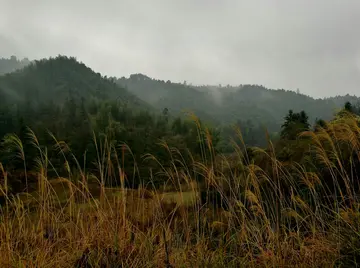 感受春节的作文（《难忘的春节》）