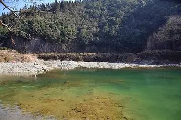 难忘的春节作文（《难忘的春节》）