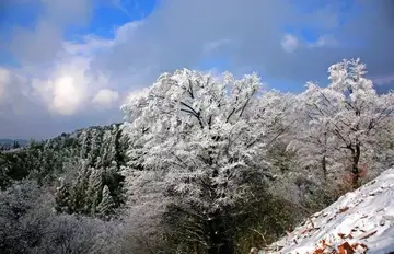 盼望春节的优秀作文（《春节故事》）