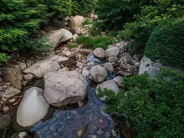 春节的趣事作文（《别样的春节》）