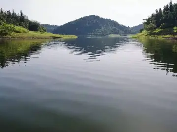 热闹的春节作文（《春节故事》）