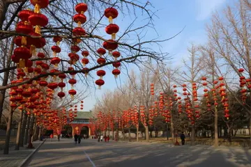 春节的叙事作文（《美好的春节》）