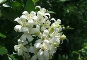 有关善良种子的作文精选范例（《做个善良的人》）