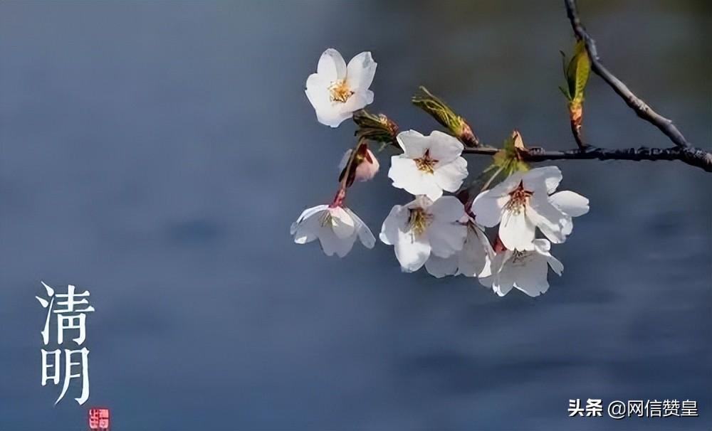 关于清明节的诗词有哪些（清明节诗词40首）