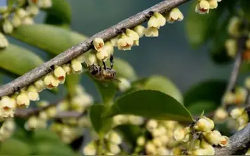 有关凝望幸福的作文精选范例（《那段幸福的时光》）