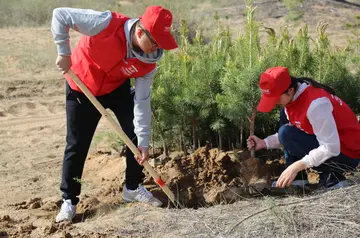 我植树我快乐作文（植树的好季节）