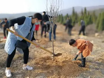 我植树我快乐作文（欢乐的节日）