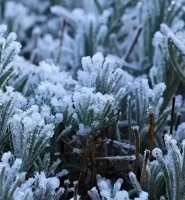 经典励志诗词鉴赏（激励孩子60句诗词）