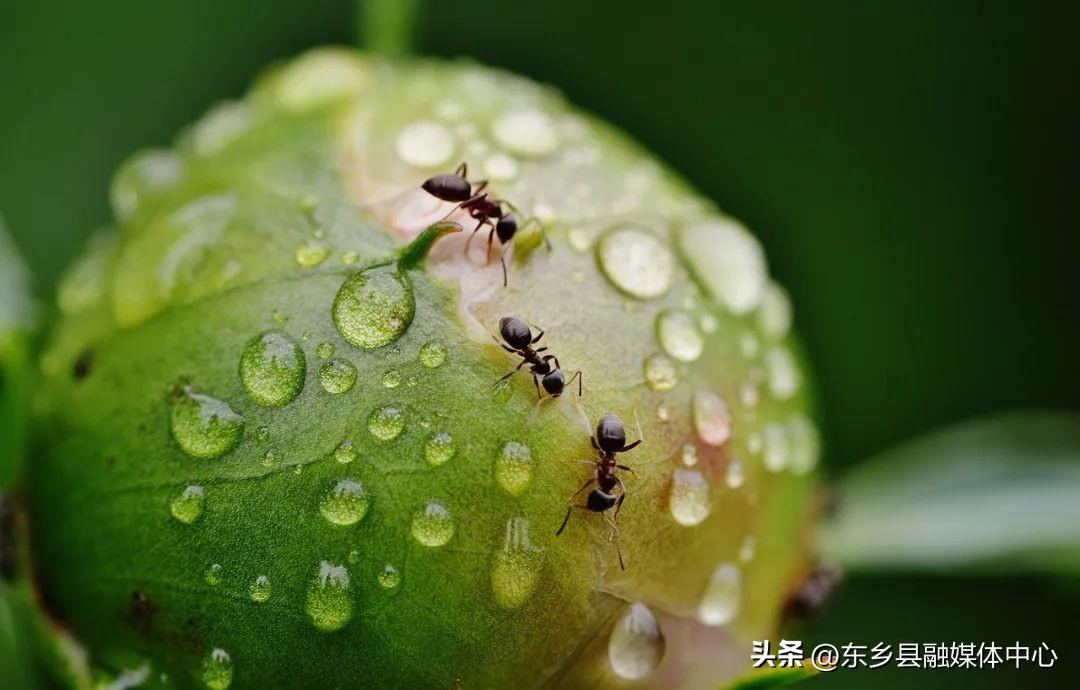 描写雨的古诗大全（30首春雨经典诗词）