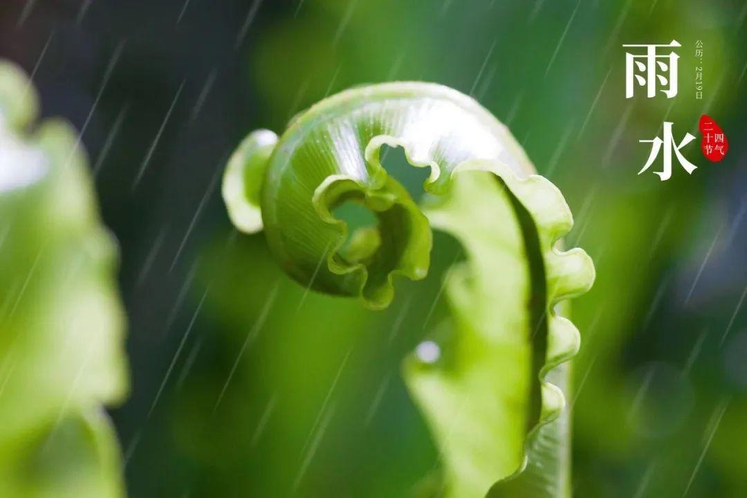 关于春雨的10首诗词（雨天很有意境的古诗）