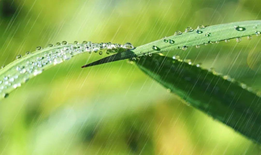 关于春雨的10首诗词（雨天很有意境的古诗）