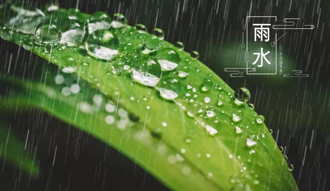 关于春雨的10首诗词（雨天很有意境的古诗）