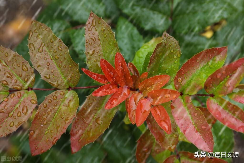 描写雨的古诗五言绝句（5首描写雨的诗词）