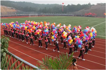 学校运动会600字作文（让我收获颇丰）