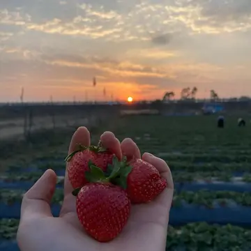 母亲节的祝福作文（《母亲的背影》）