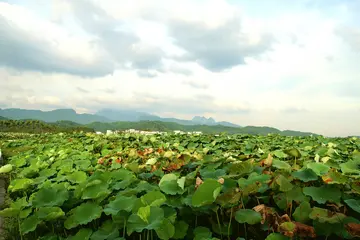 感受生活的优秀作文（《难忘的生活》）