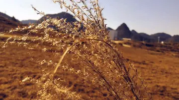 愉快的生活作文（《生活的色彩》）