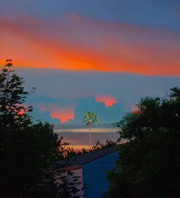 别样的风景作文（《难忘的风景》）