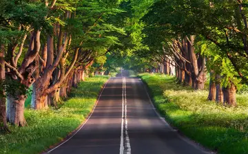 独特的风景作文（《迷人的风景》）