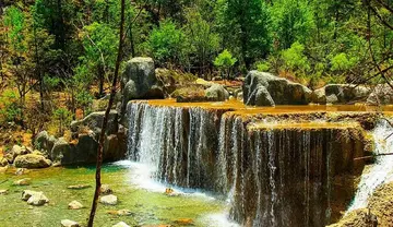 独特的风景作文（《故乡的风景》）