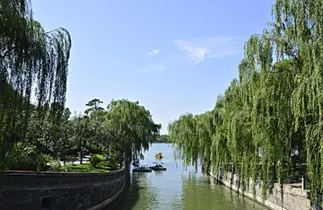 峨眉山的风景作文（《别样的风景》）