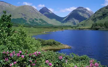 记忆中的风景作文（《家乡的风景》）