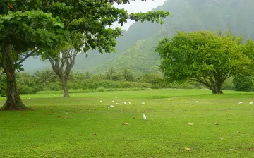 家乡的风景作文（《家乡的风景》）