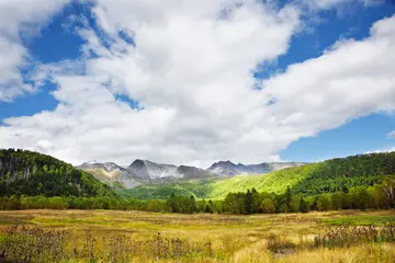 亮丽的风景作文（《别样的风景》）