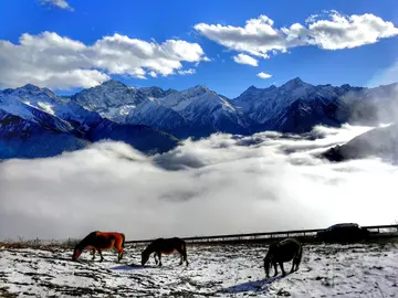 亮丽的风景作文（《难忘的风景》）