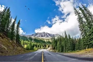 亮丽的风景作文（《家乡的风景》）