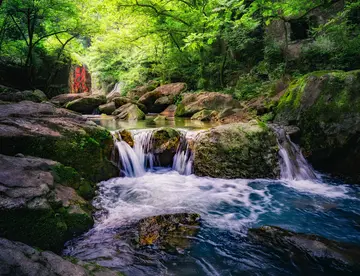 成长路上的风景优秀作文（《别样的风景》）