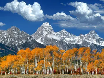 美丽的风景的作文（《迷人的风景》）