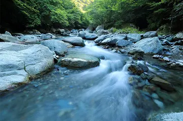 关于人生的风景作文（《童年的风景》）