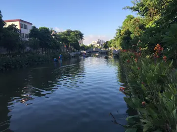 关于田野的风景作文（《美丽的风景》）