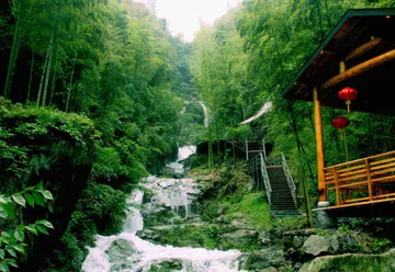 田园的风景作文（《别样的风景》）