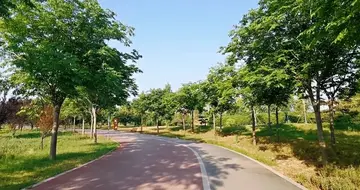 田园的风景作文（《美丽的风景》）