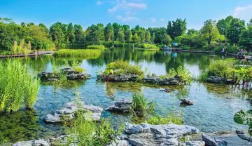 田园的风景作文（《家乡的风景》）